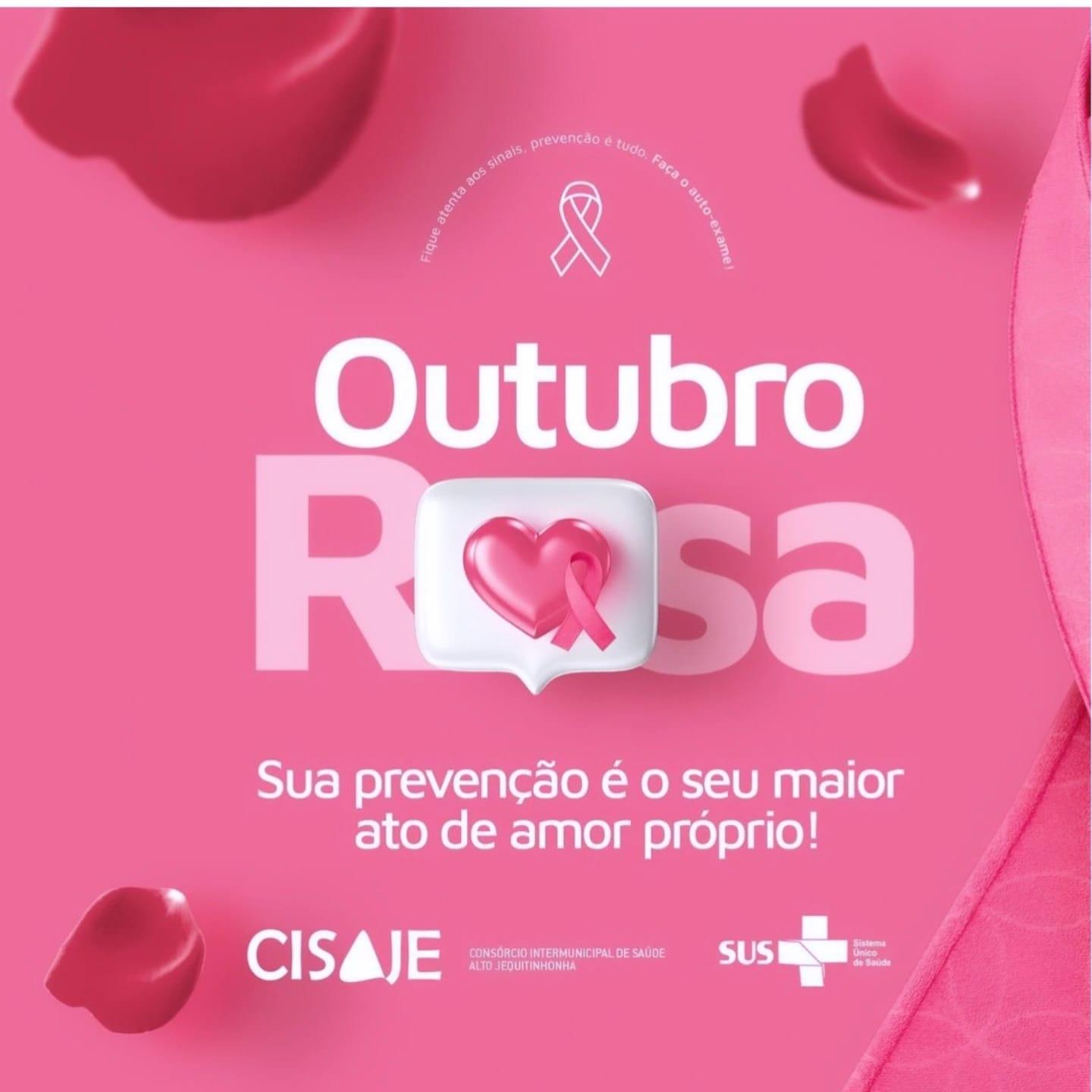 Outubro Rosa 2024